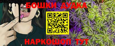 mdpv Кингисепп