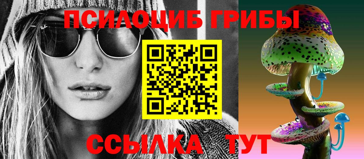 Арзамас  Галлюциногенные грибы Psilocybe  Вход с VPN 