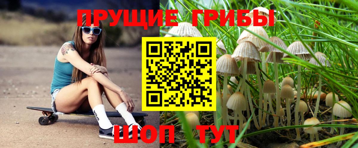 Галлюциногенные грибы Cubensis Арзамас